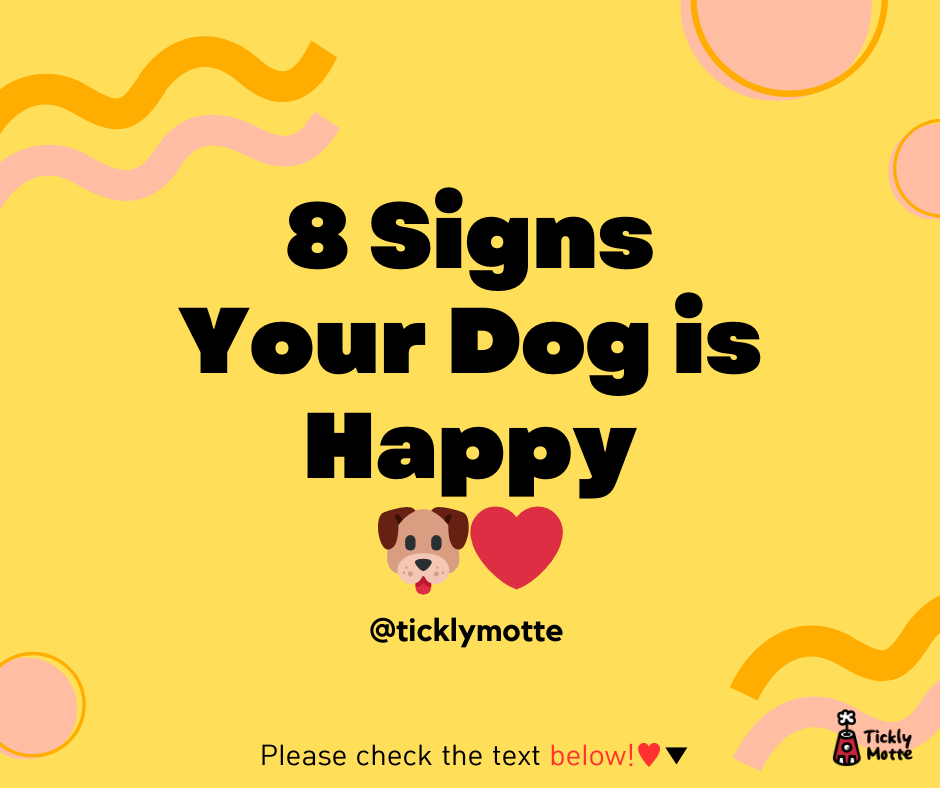 8 Telltale Signs Your Dog is Happy