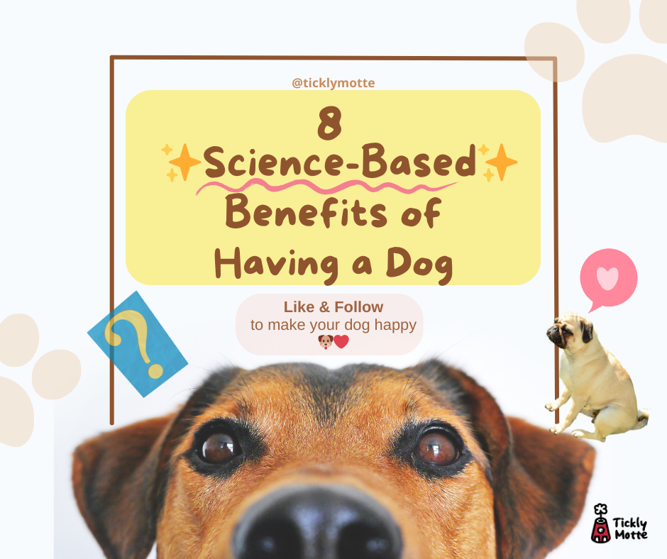 ✨ Science-Based Benefits of Having a Dog